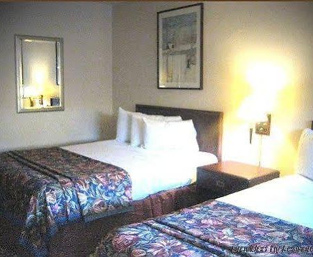 El Toro Motel 圣路易斯-奥比斯保 外观 照片